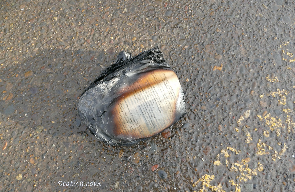 A burned book laying on the sidewalk