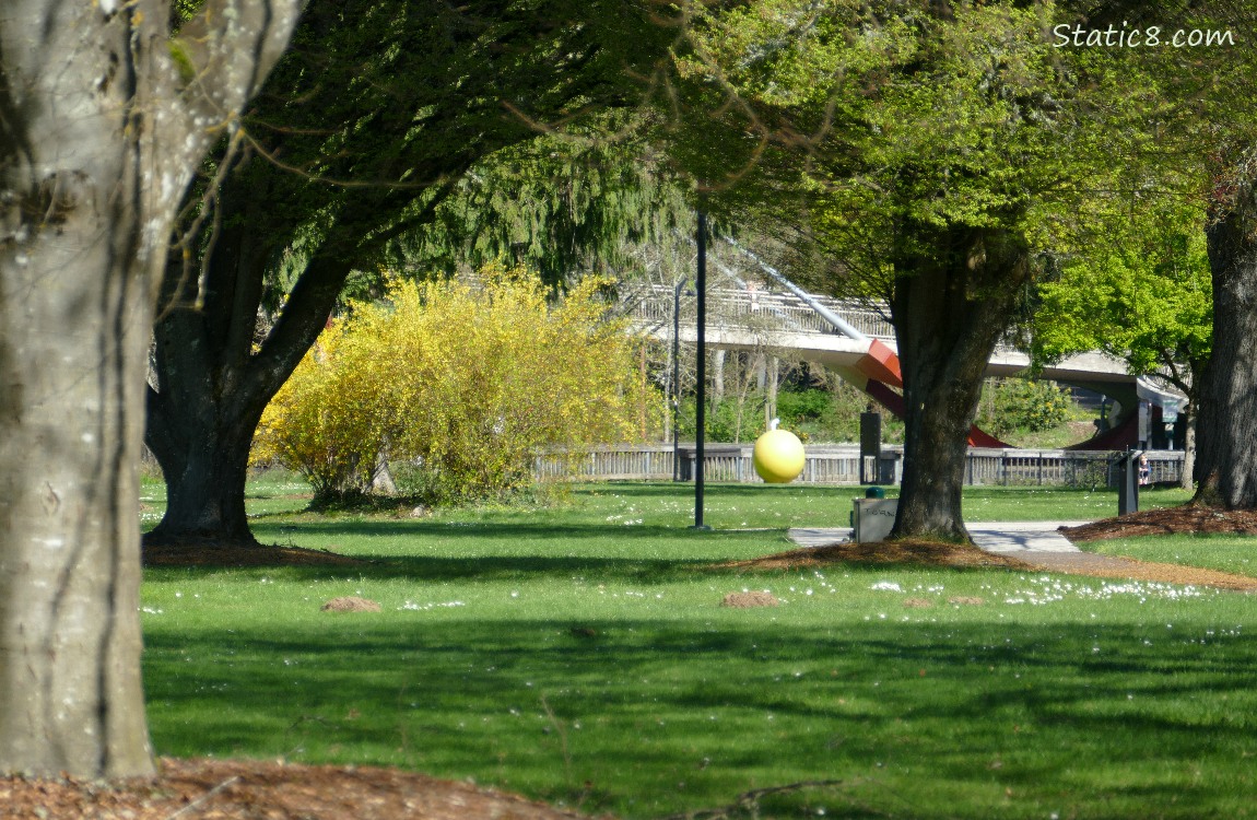 Yellow ball, past lawn and trees