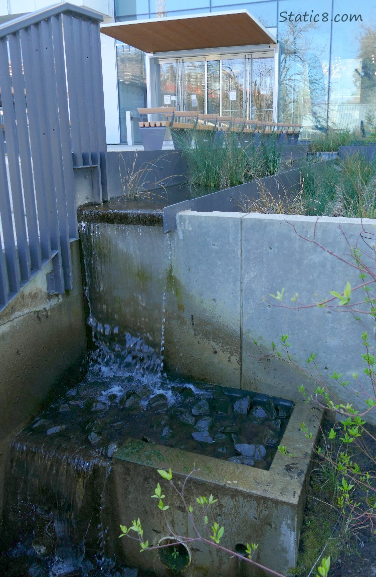 Waterfall coming off a bioswale, next to glass doors going into the building
