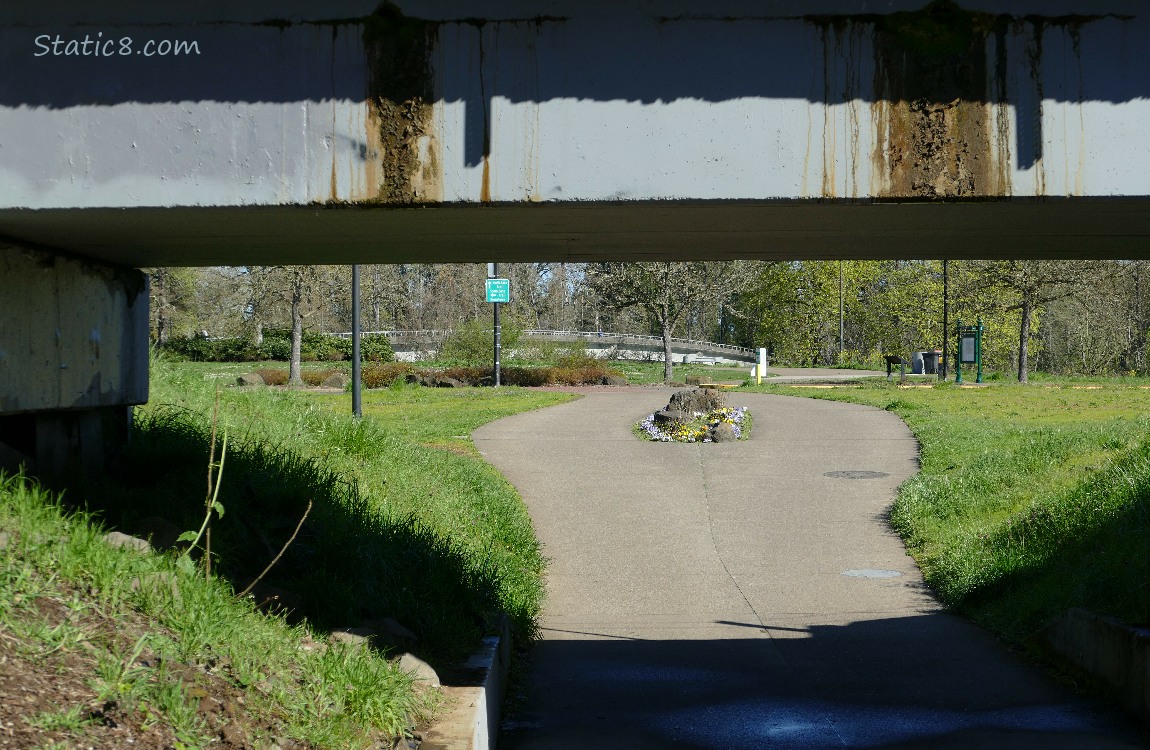 Bike path under a train bridge with trees in the distance