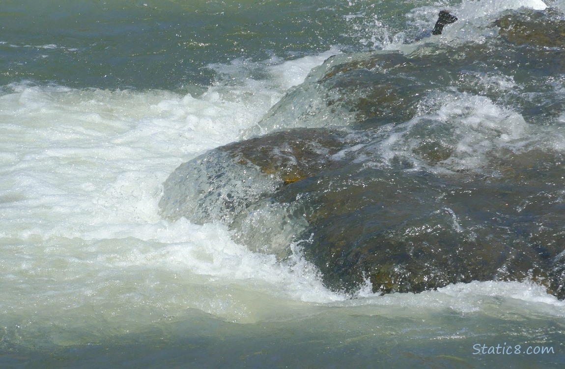 River water going over a rock