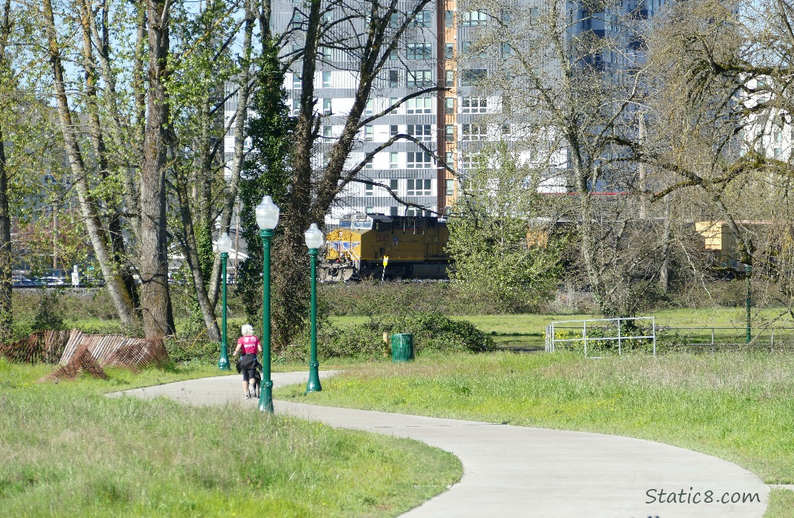 Path and trees with a train coming up