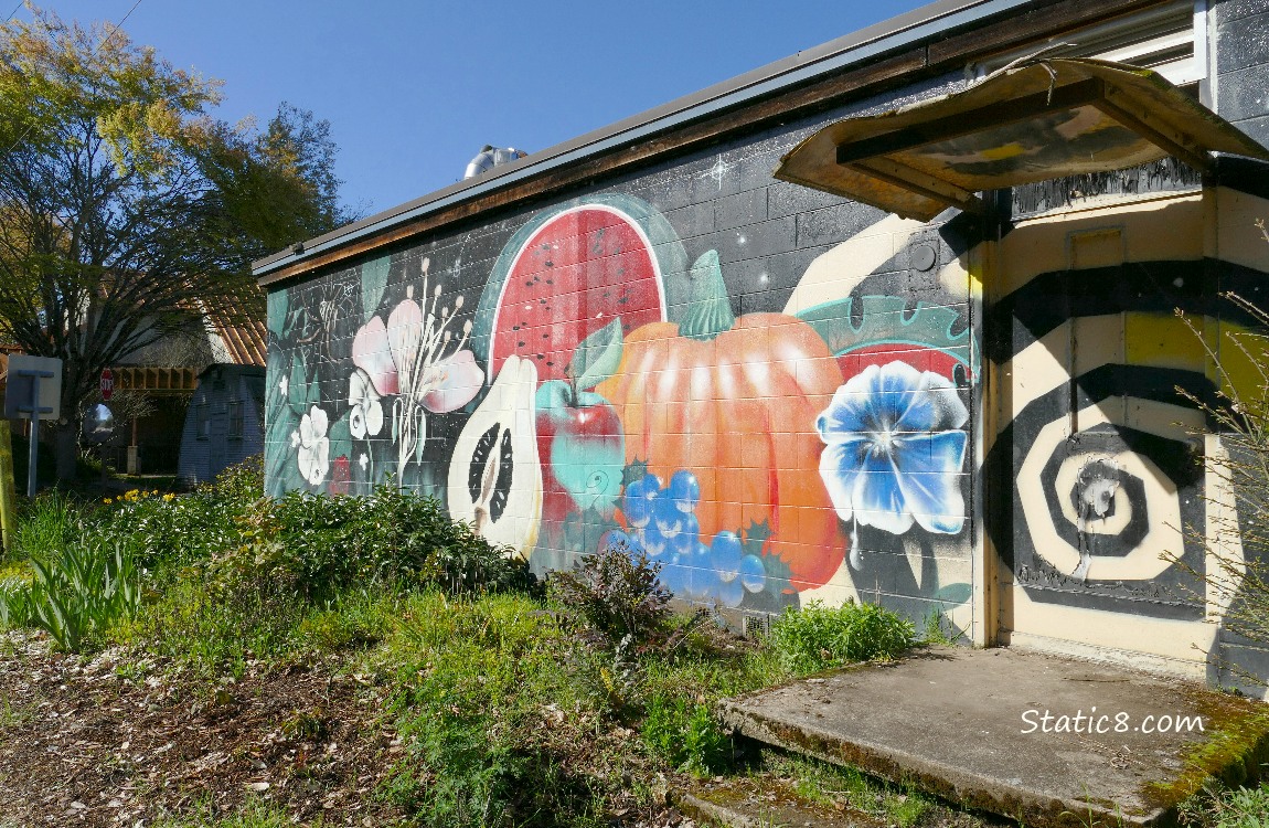 Mural of fruits and flowers on the side of a building