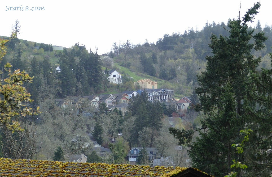 View across the valley to houses and construction