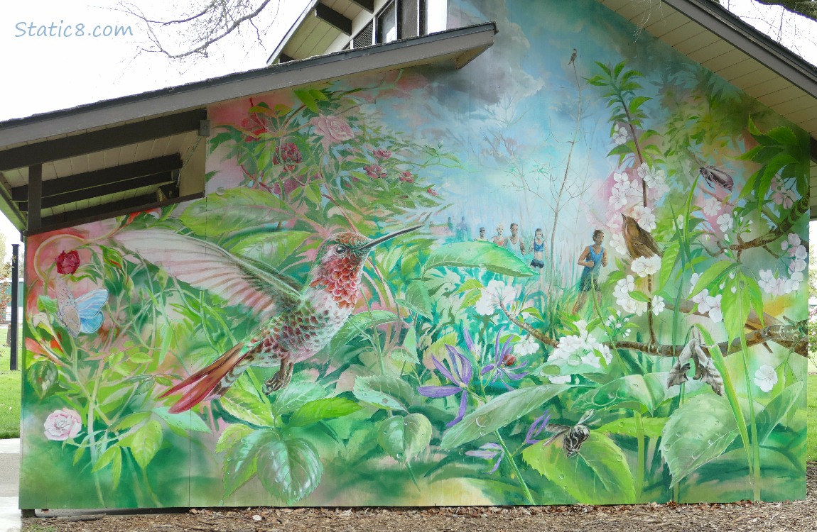 Humming bird mural with roses, flowers and human runners