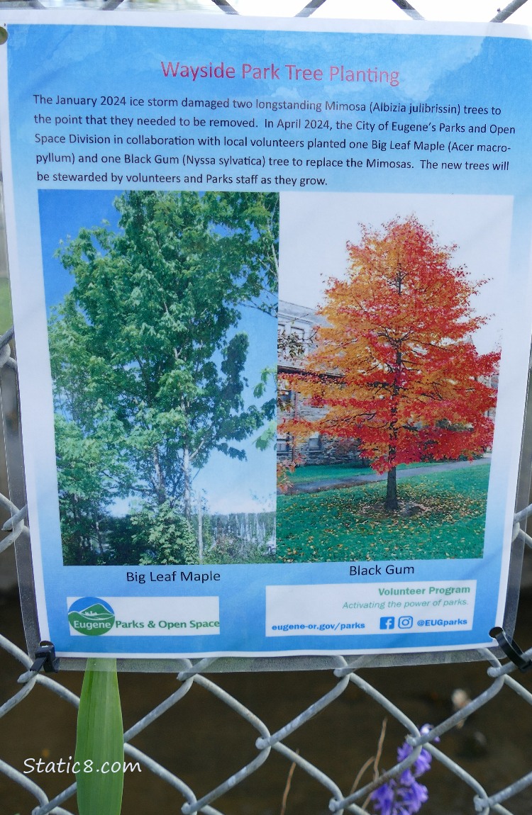 Wayside Park Tree Planting sign