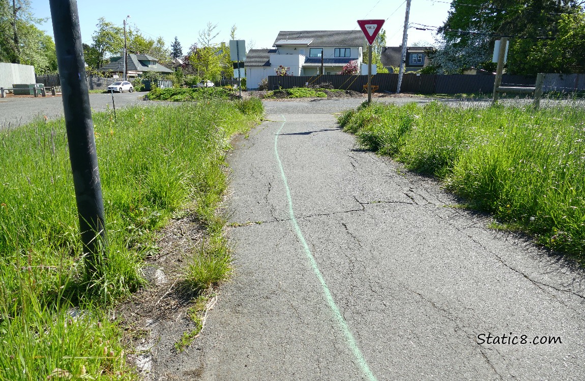 Spray painted green line down a path