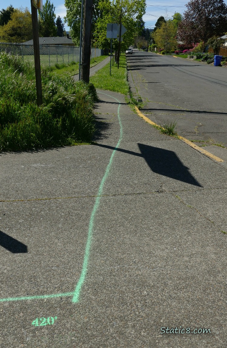 Spray painted green line going down a neighborhood sidewalk