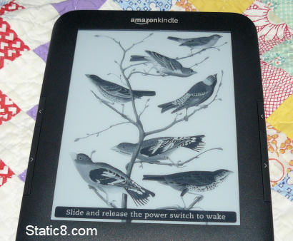 kindle birds