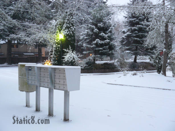 snow on the mailboxes