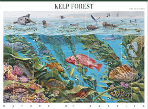 Kelp Forest Stamp set