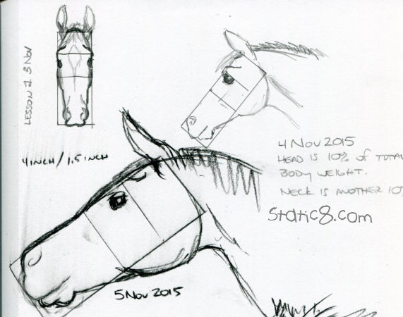 horse drawing class