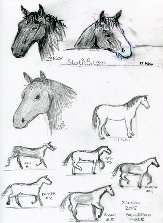 horse sketches