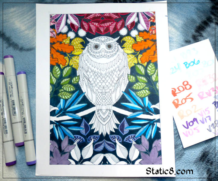 Owl colouring