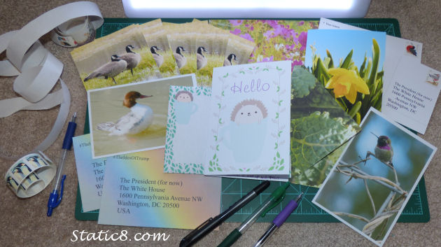 the weekend outgoing mail