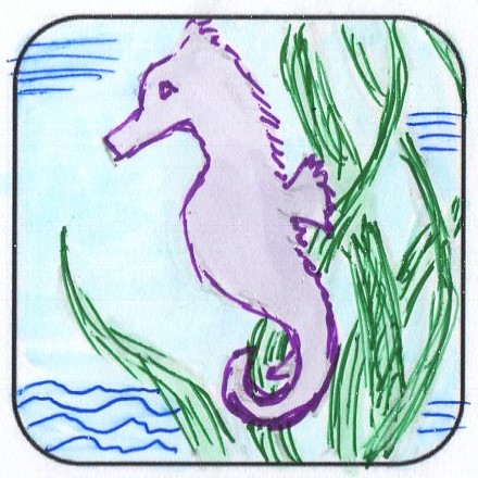 illustration of a sea horse