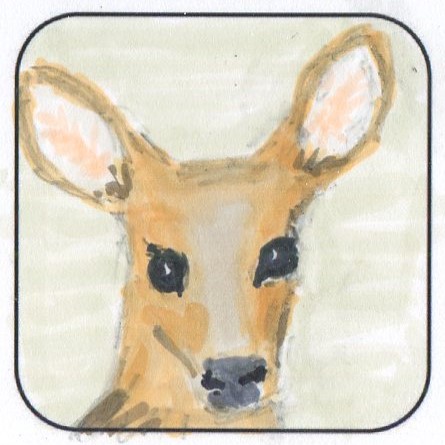drawing of a deers face