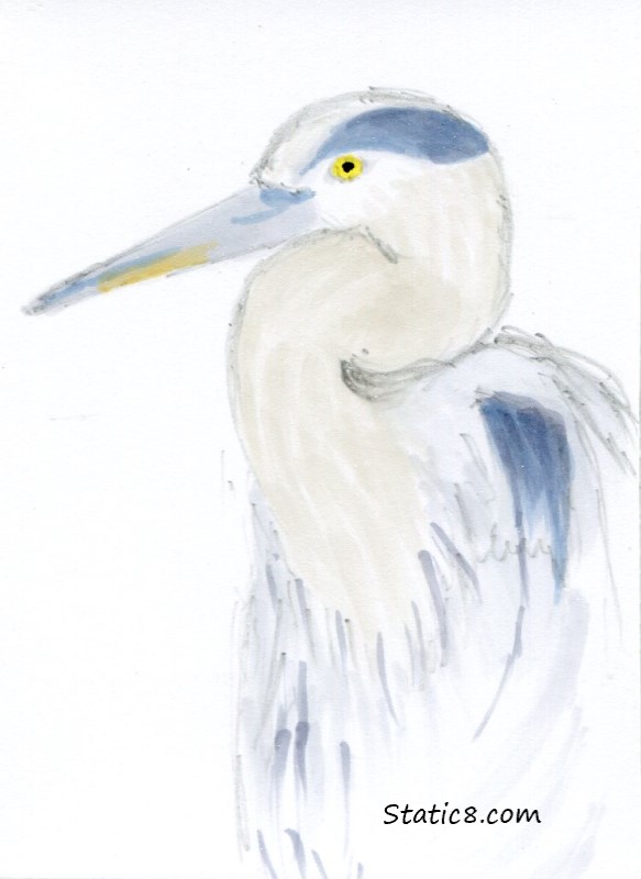 ATC Drawing of a Great Blue Heron