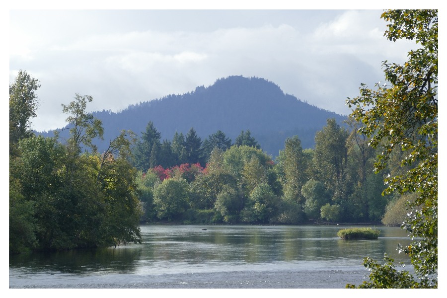 The Willametter River at the base of Skinner Butte