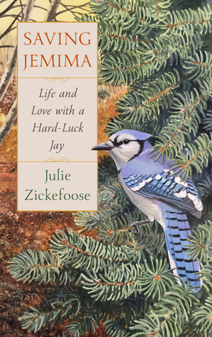 Book Cover: Saving Jemima by Julie Zickefoose