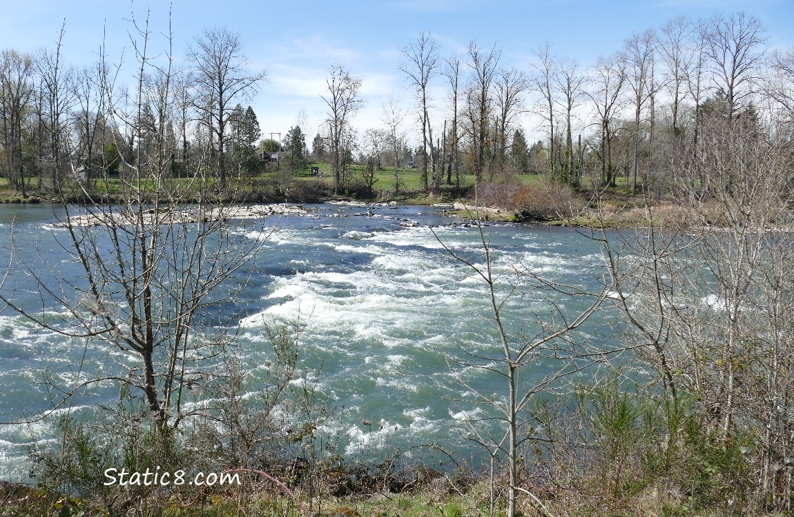 Willamette River