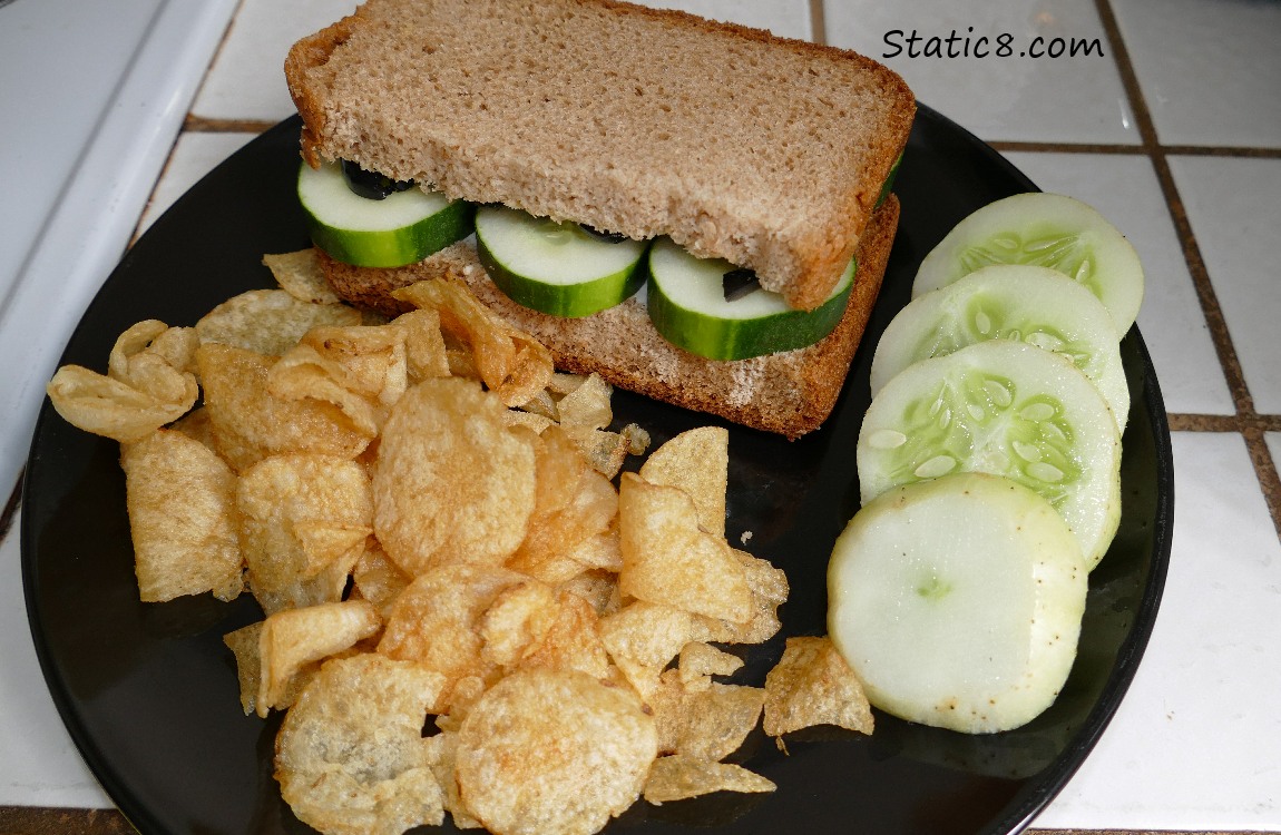 Cucumber sandwich, with potato chips and thick sliced lemon cucumber
