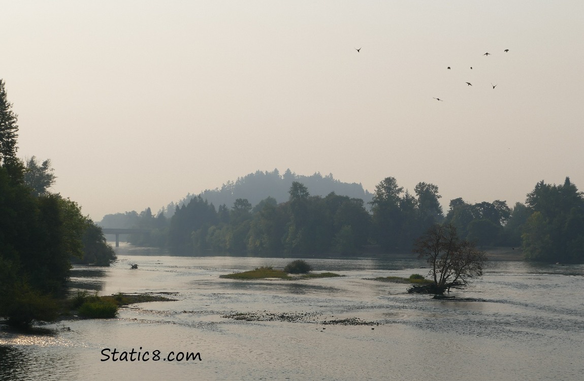 Looking across the river at Skinner Butte