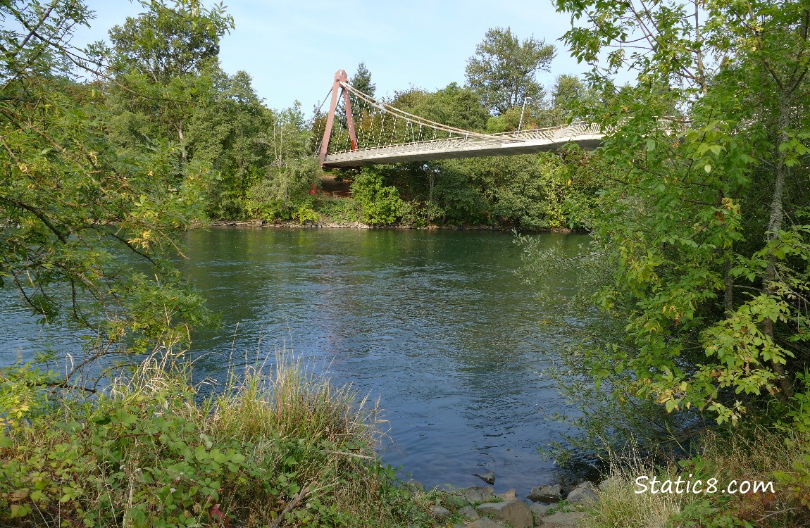 a view of Peter DeFazio Pedestrian Bridge