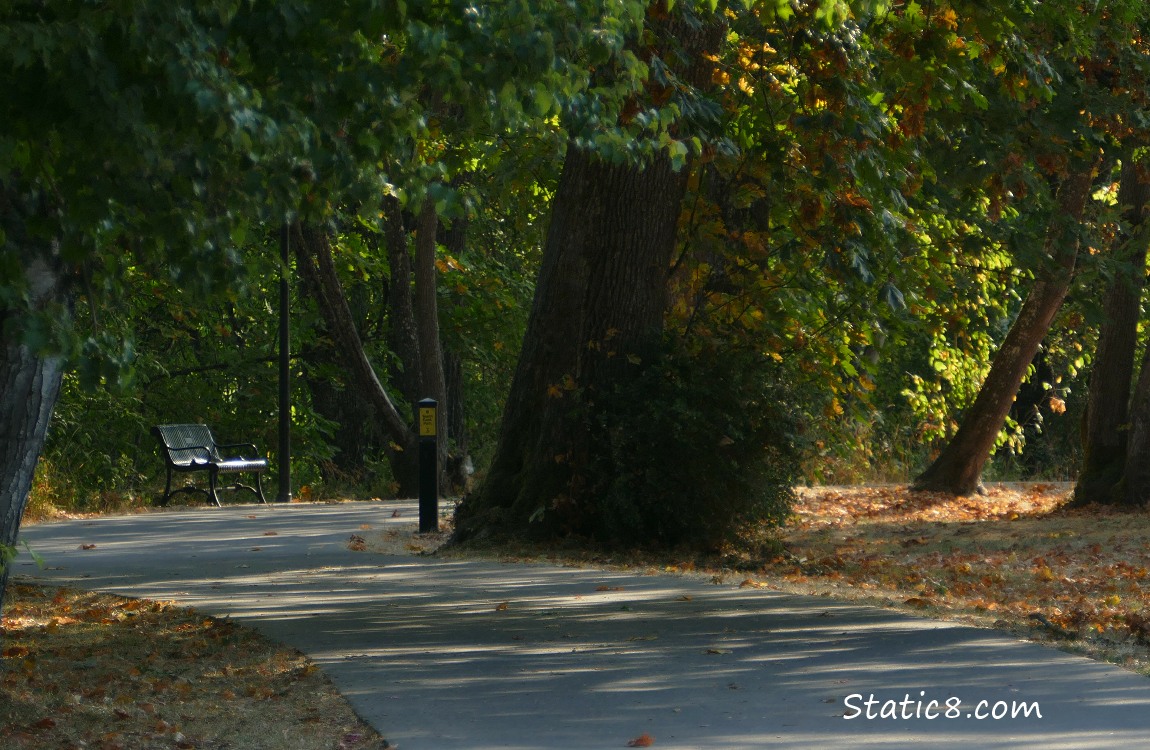 A bench along the path