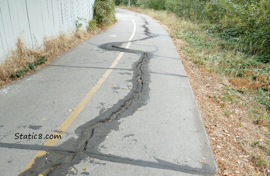 cracked bike path