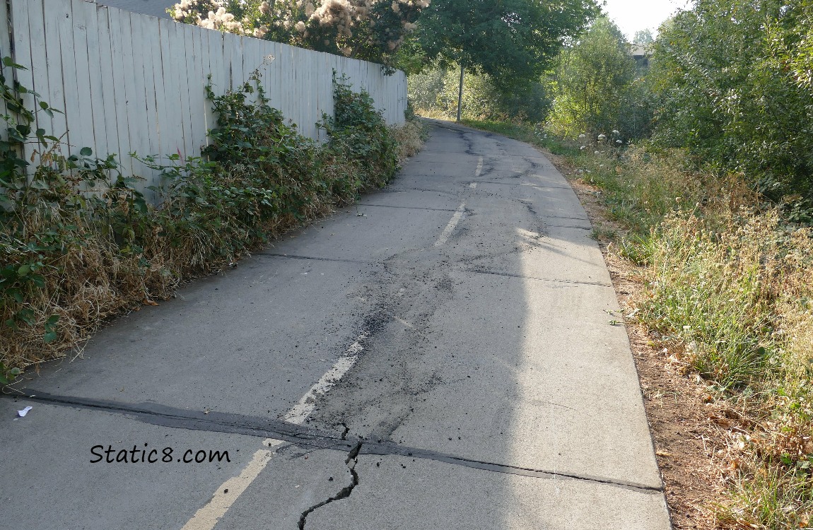 bike path with black top repair to crack!