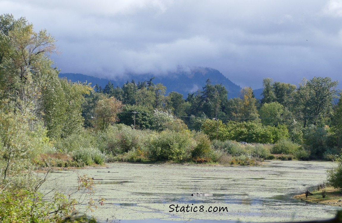 looking out across the pond to the hills covered with low clouds in the background