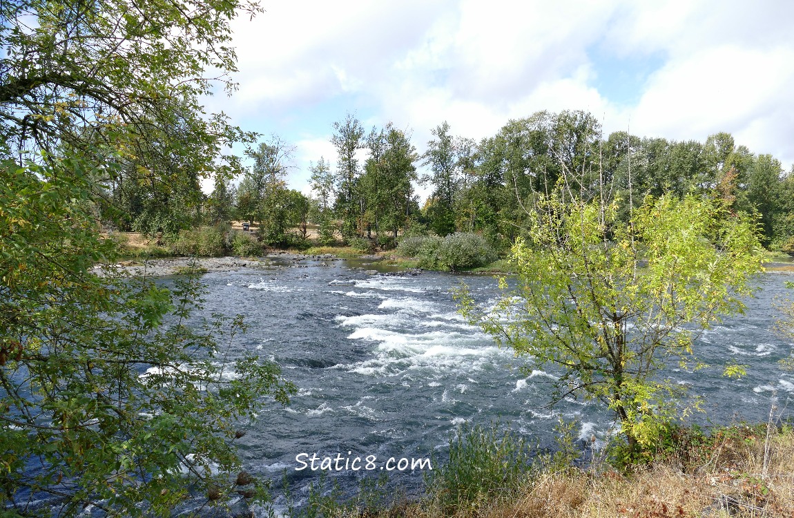 looking out across the river at my fav meditation place