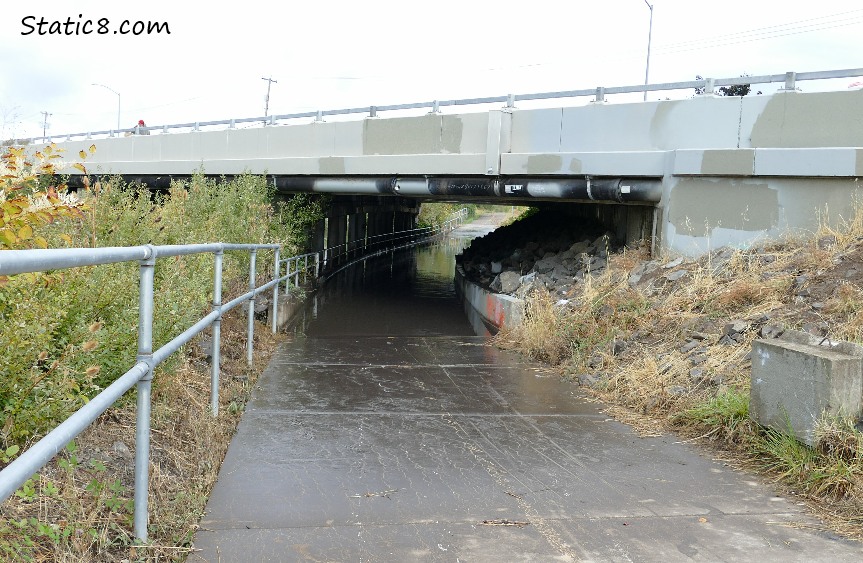 bike path is flooded under a bridge