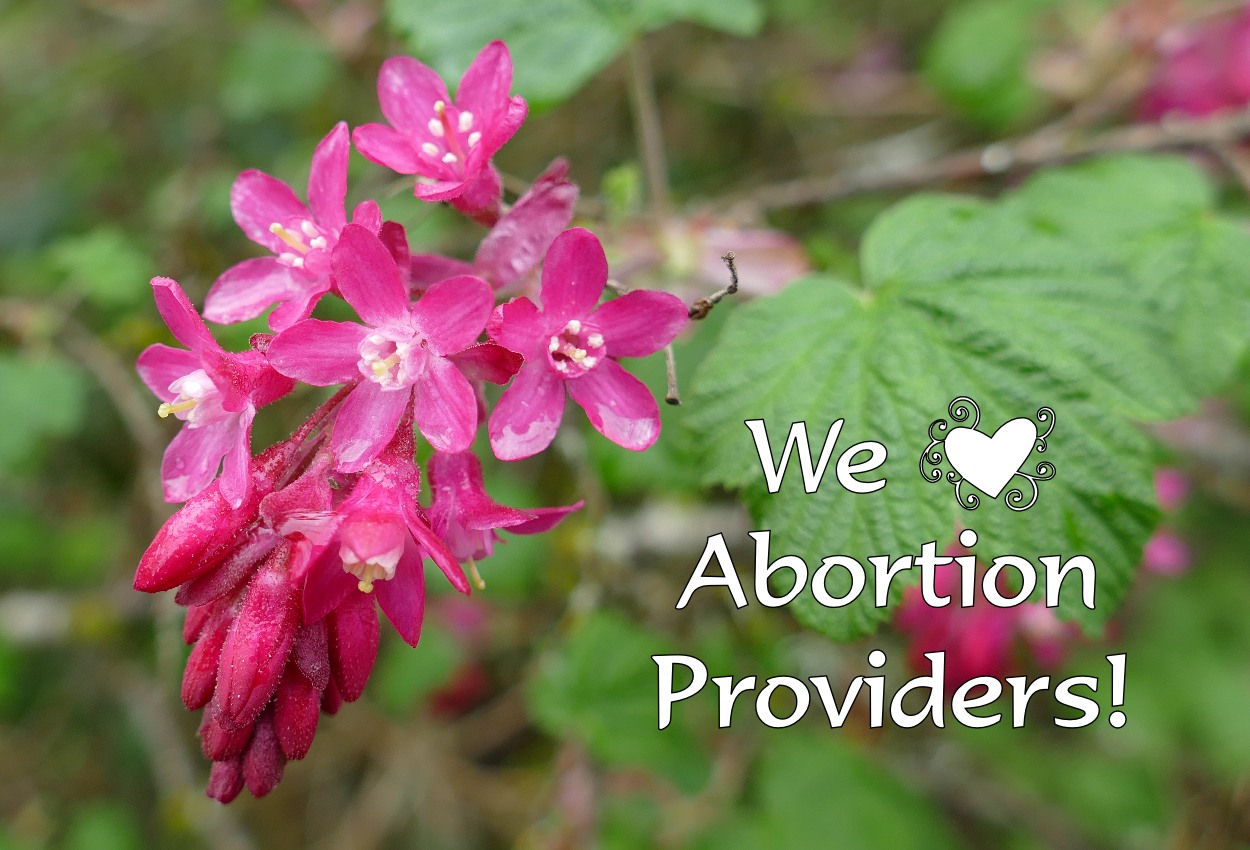 Red Flowering Current and We Love Abortion Providers