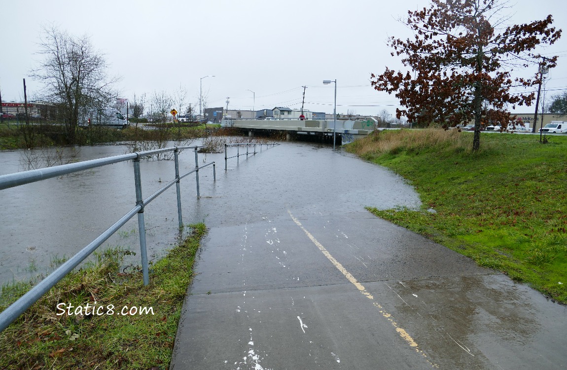 flooded bike path