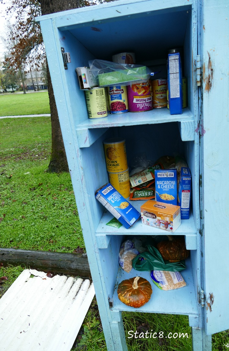 Little Free Pantry, full of food, missing a roof.