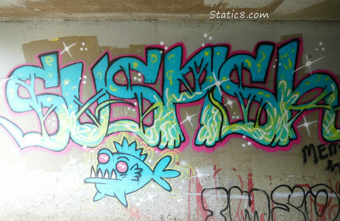 Graffiti, Suspish name and fish