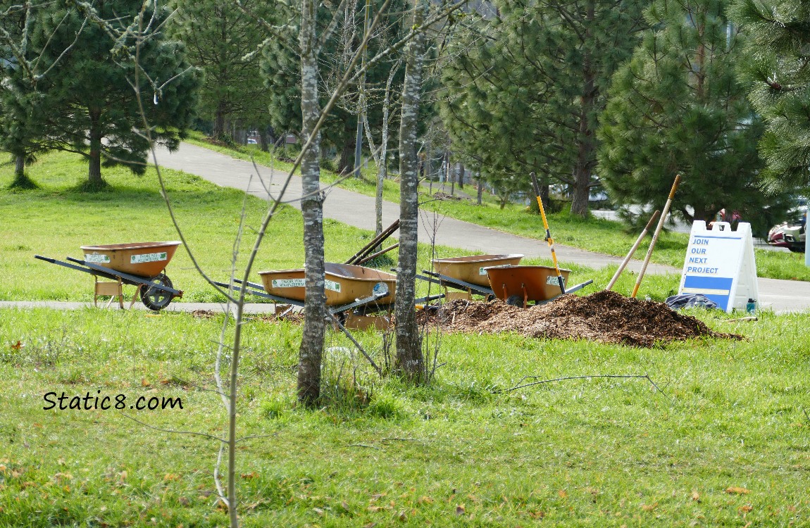 Wheel barrows, shovels, and piles of wood chips