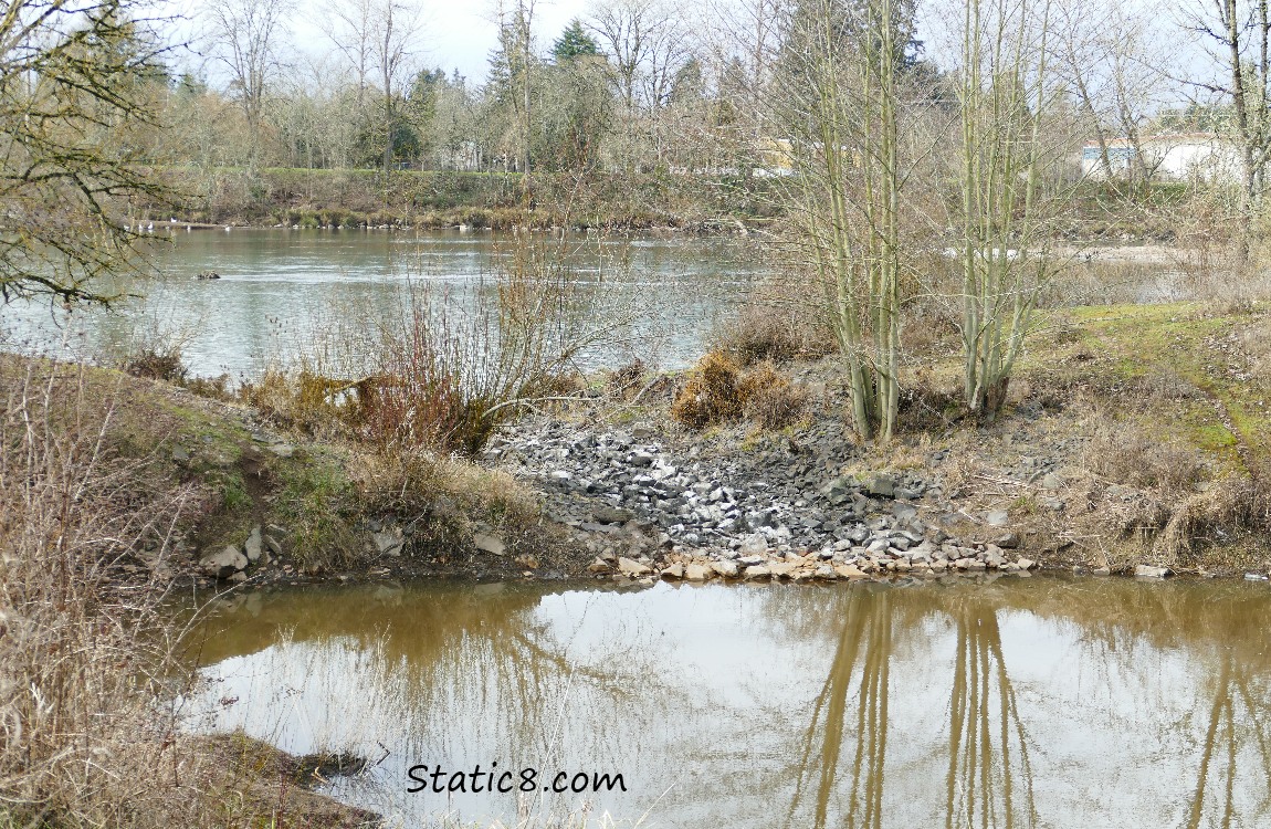 A dry spillover at the Delta Ponds