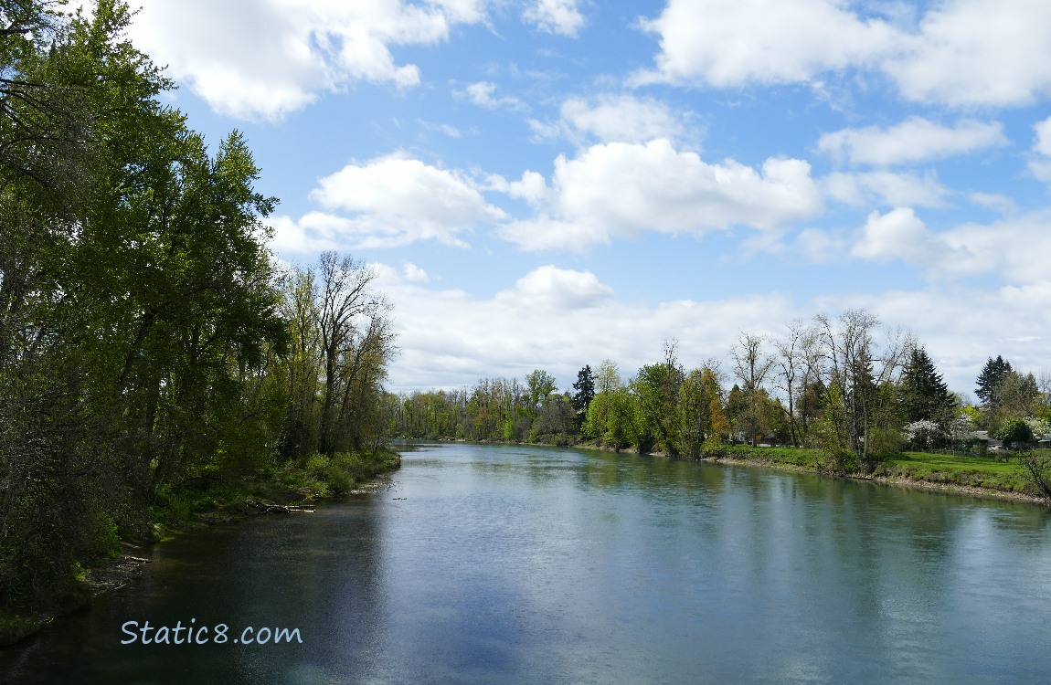 The Willamette River