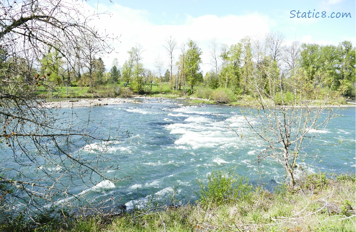 Looking across the Willamette River