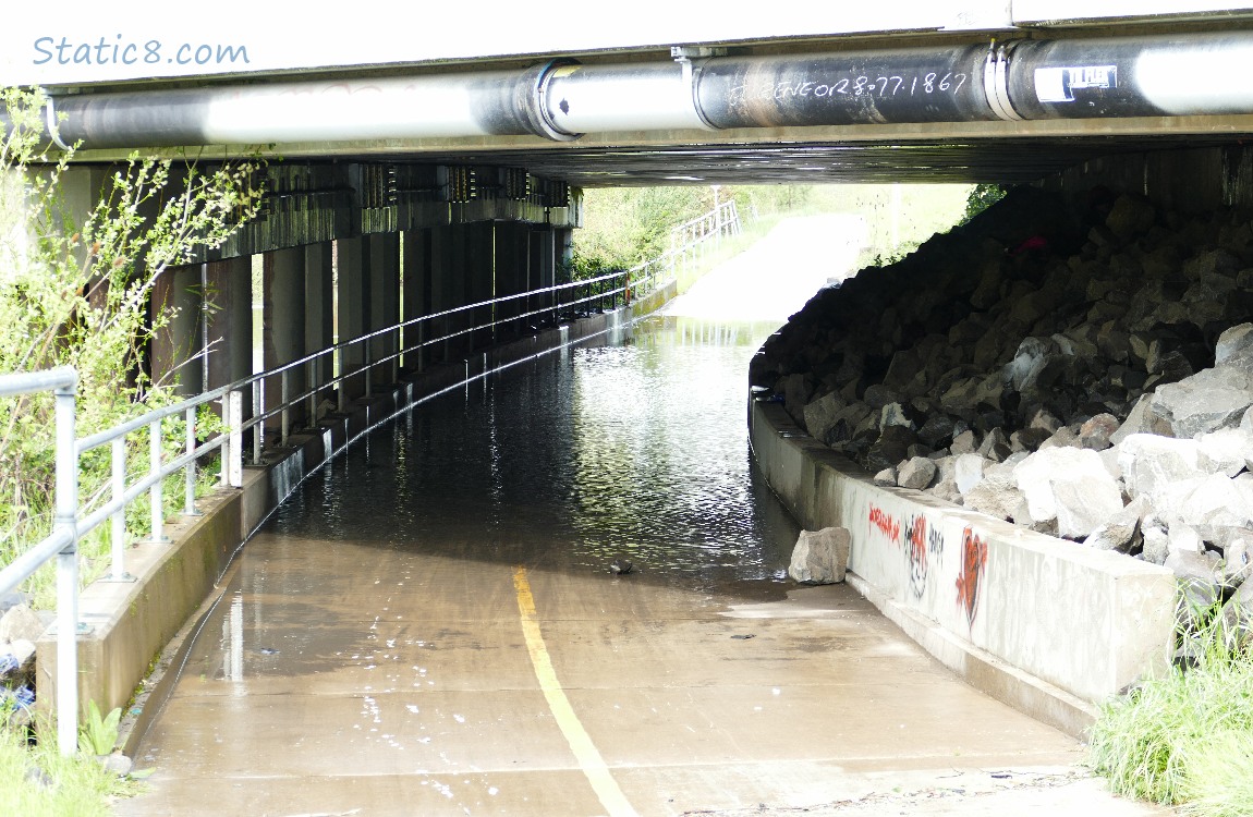 The creek floods the bike path under a road bridge