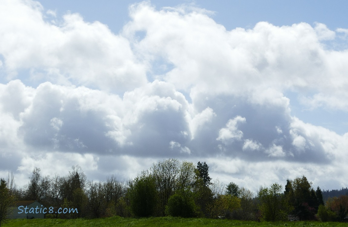 puffy clouds and a blue sky
