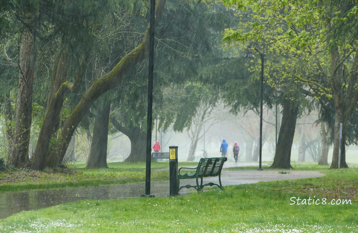 several people walking on the path in the rain