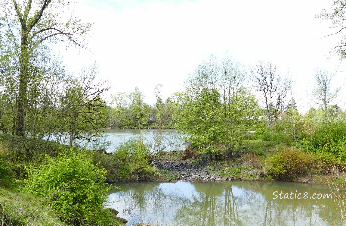 Spillover between the river and the ponds