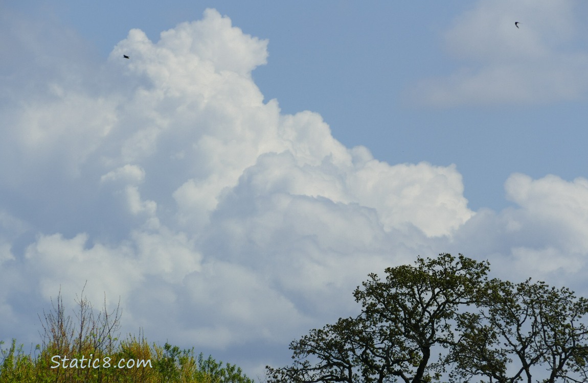 Storm Cloud