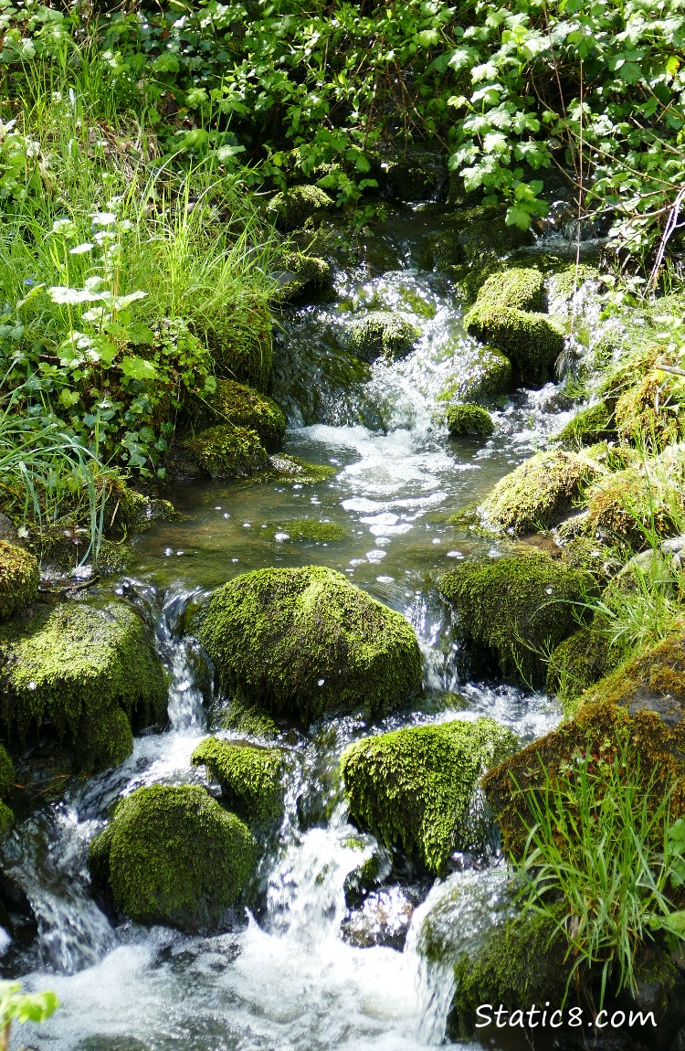 Waterfall with mossy rocks and surrounded by green