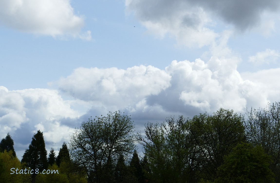 Clouds building up