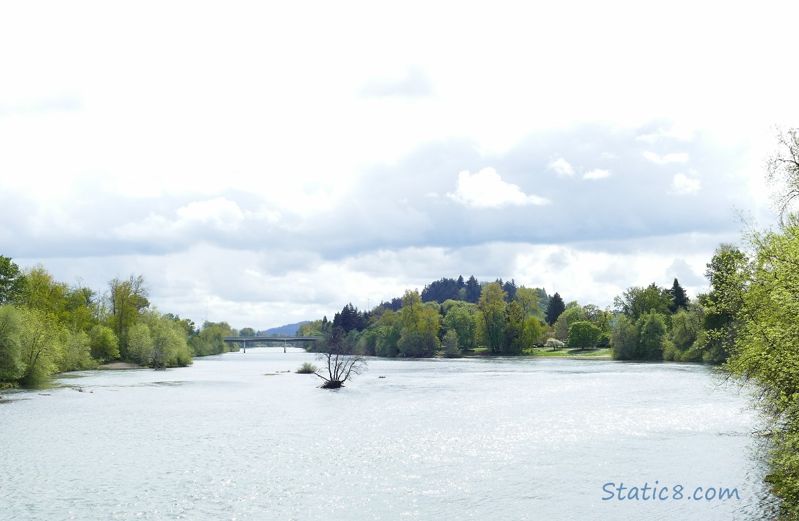 The Willamette River, seen from the Greenway Walking Bridge